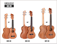 Heißer Verkauf 4 Saiten Nylon Ukulele Kit